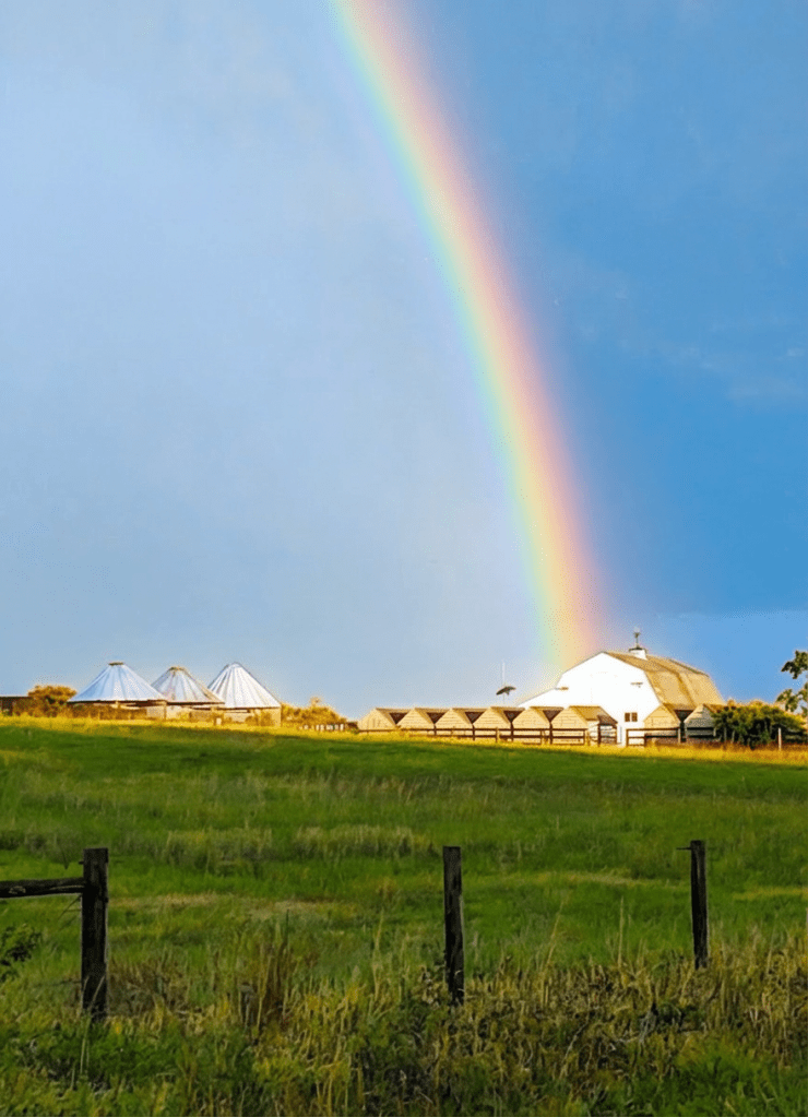 Smooth out the colors in the upper left-hand corner of this farm landscape image so the sky transitions gradually and evenly, avoiding banding or harsh color blocks while keeping the overall scene and composition the same.